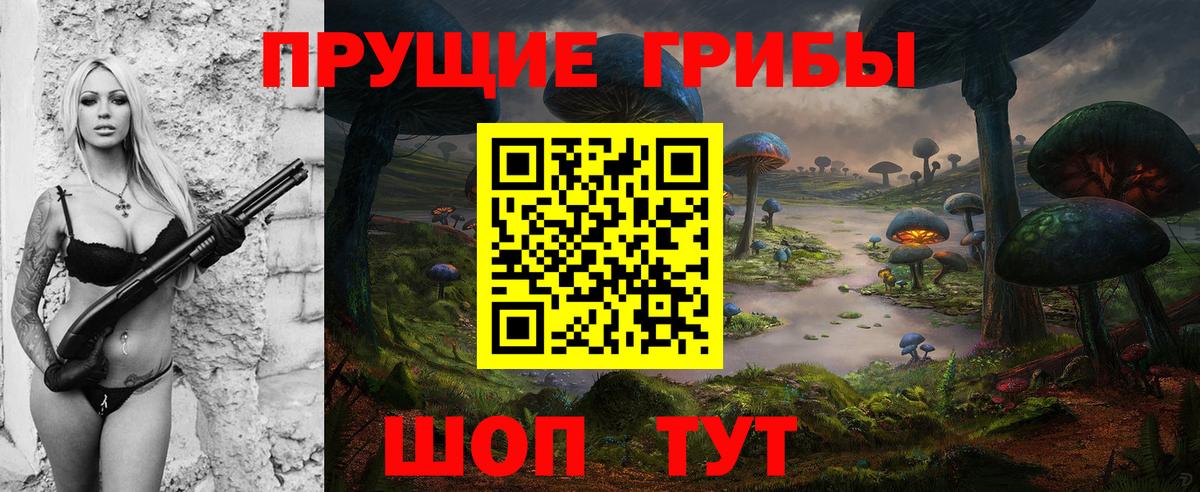 Псилоцибиновые грибы MAGIC MUSHROOMS  Вход с VPN  Подольск 