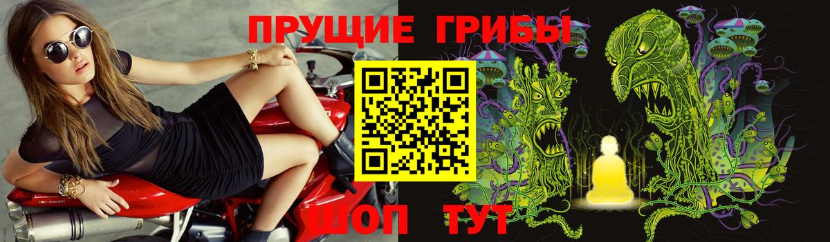 Галлюциногенные грибы мицелий Подольск